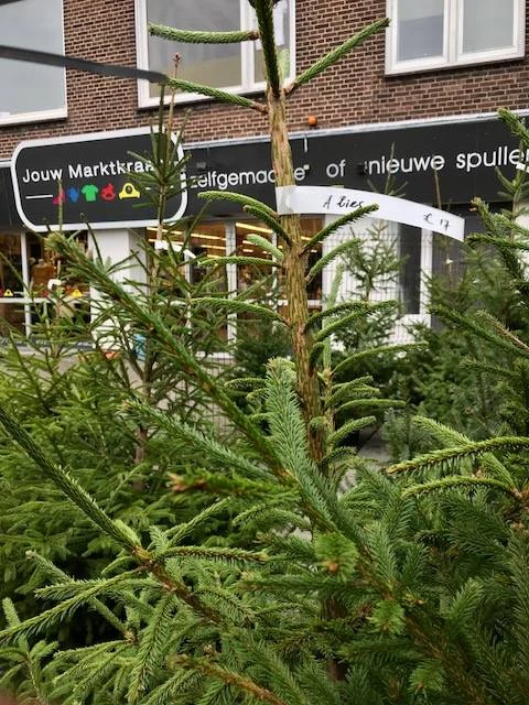kerstbomen verkoop